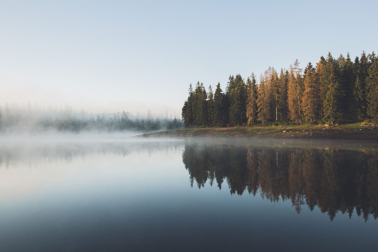 Morning fog drifting over a still lake with a pine shoreline