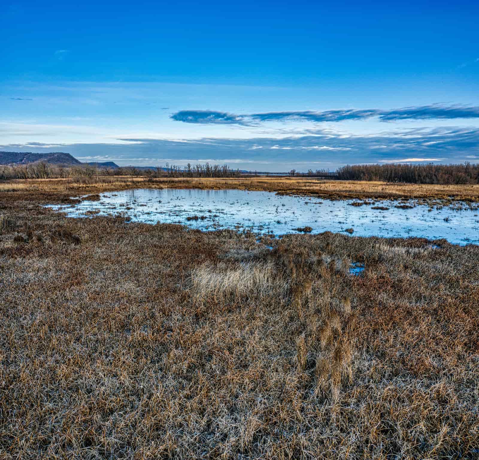 Shallow prairie wetland ringed by dry grass under a blue sky